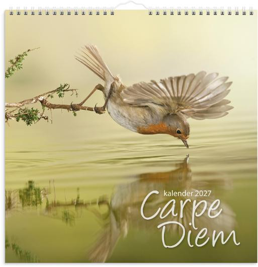 Väggkalender Carpe Diem 2027