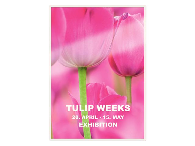 Laminat LEITZ UDT A4 125mic klar 100/fp