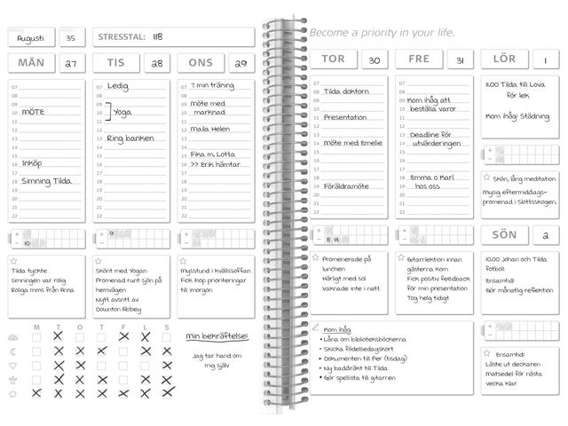 Kalender Balance Log odaterad - 1049