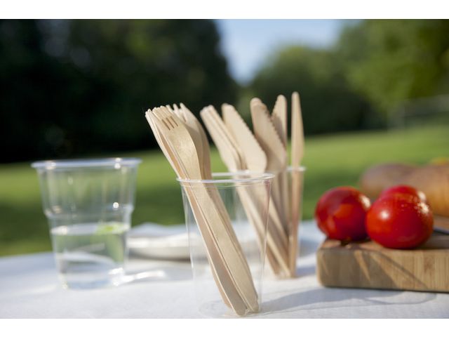 Bestick gaffel PURE FSC 16,5cm 100/fp