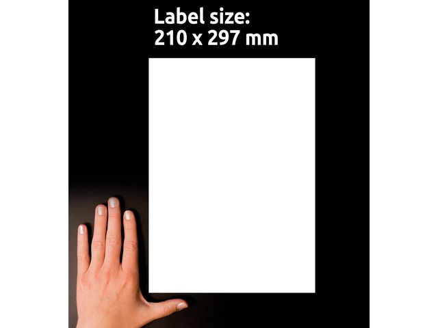 Etikett AVERY 210x297mm 100/fp