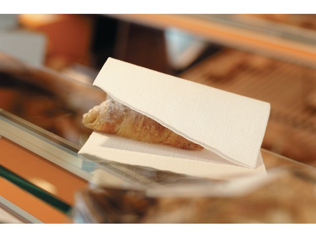 Servett DUNI 2-lags 24x24cm vit 300/fp