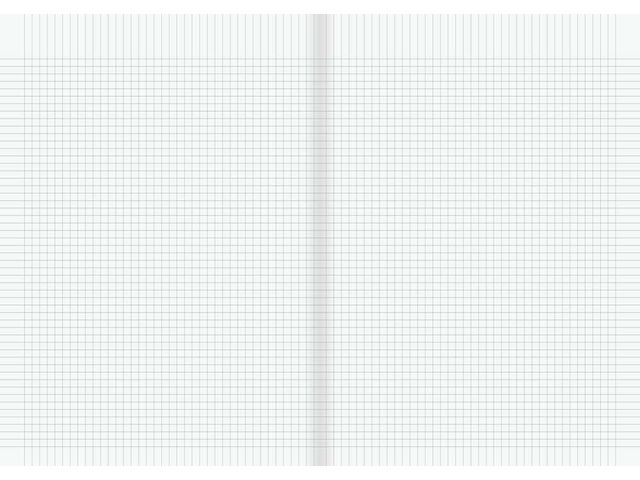 Räknehäfte A4 rutat 5x5mm mellanblå