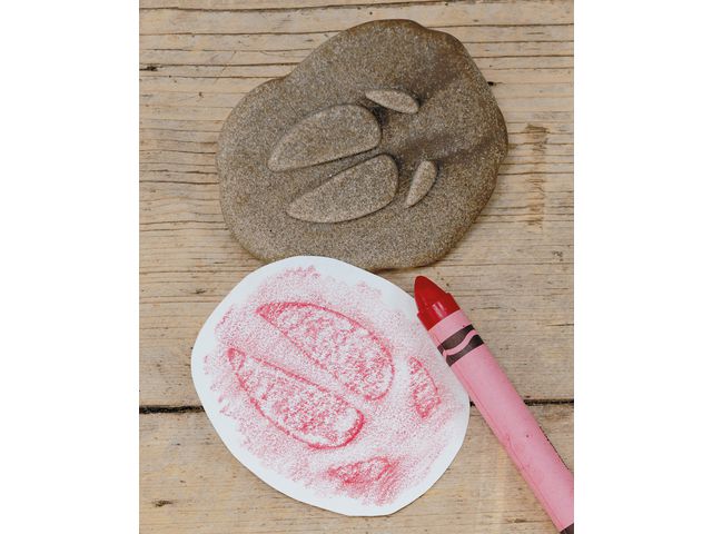 Undersök Fotspår fr bondgården sten 8/fp