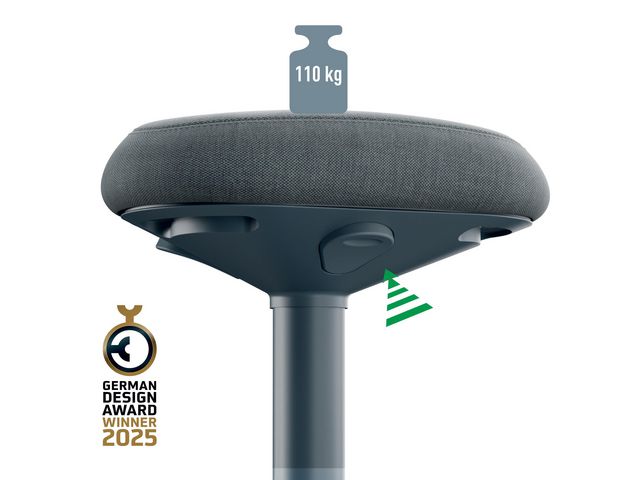 Sittpall LEITZ Ergo mörkgrå