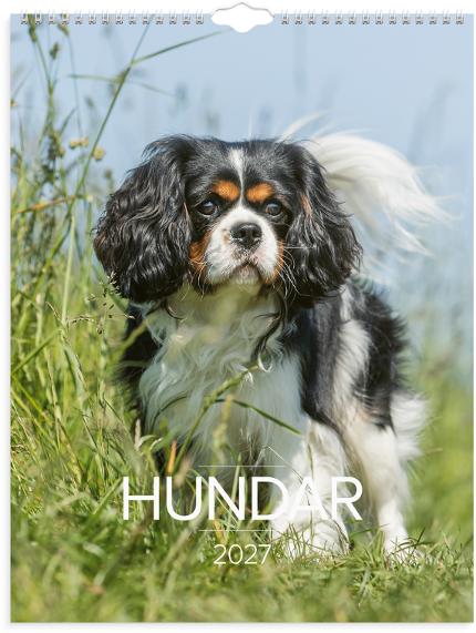 Väggkalender Stora Hundkalendern 2027