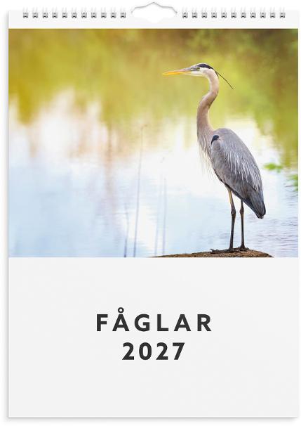 Väggkalender Fåglar 2027