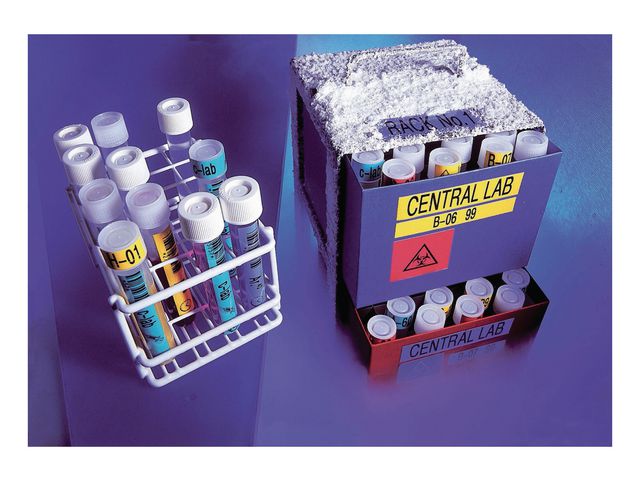 Tape BROTHER TZE551 24mm svart på blå