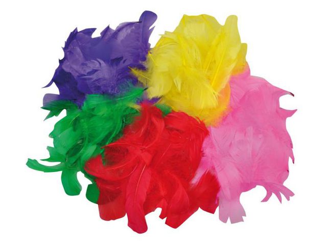Fjädrar 30-100mm blandade färger 200/fp